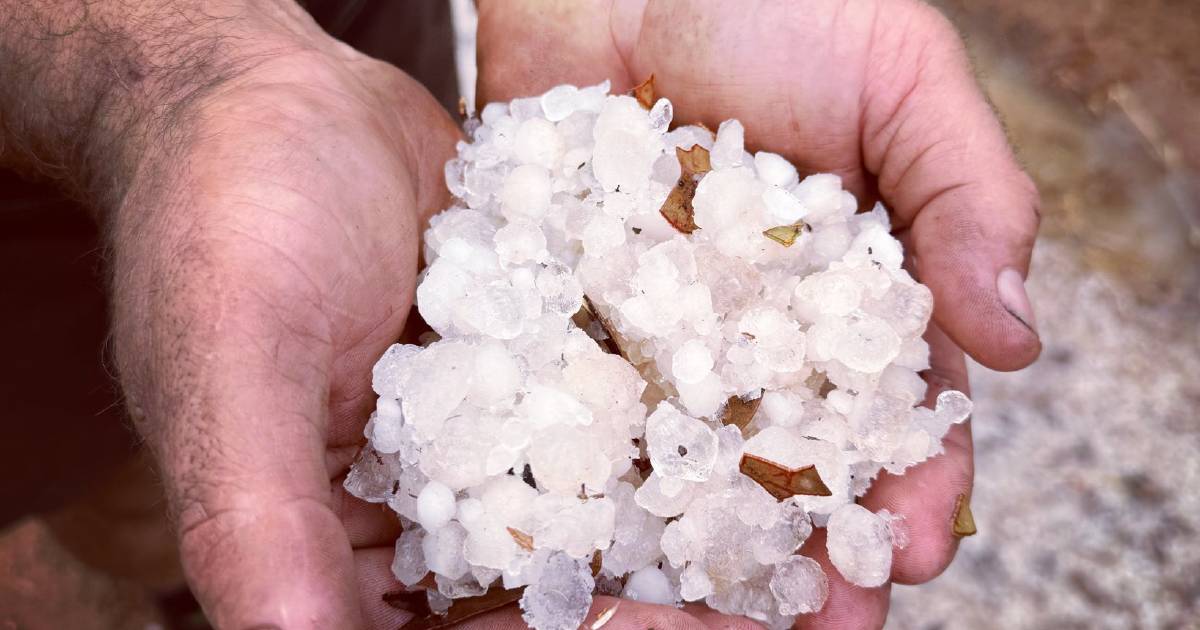 PHOTOS: Large hailstones hit hard