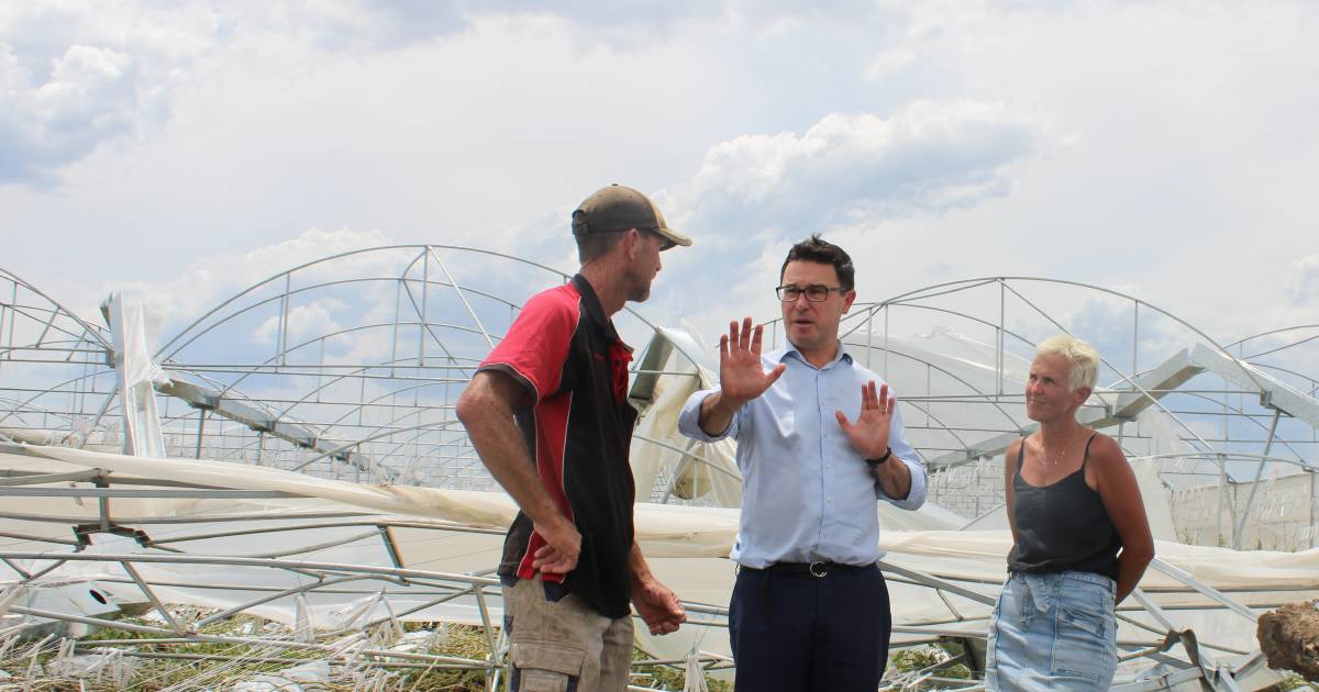 MP's visit storm damaged Lockyer Valley farmers