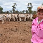 Simon Quilty presents positive market analysis at AgForce forum | Queensland Country Life