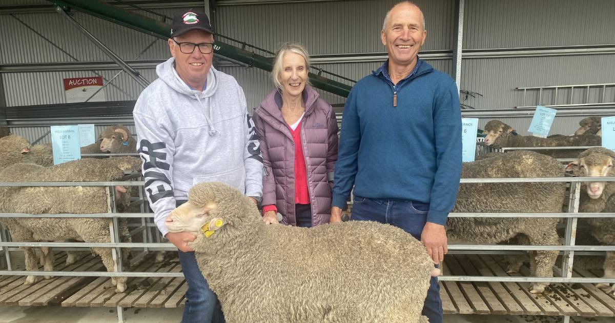 Return buyers underpin Niela Merino sale