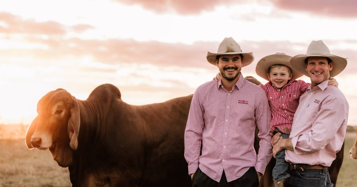 Rockley Brahmans hoping Thailand trip opens semen market opportunities