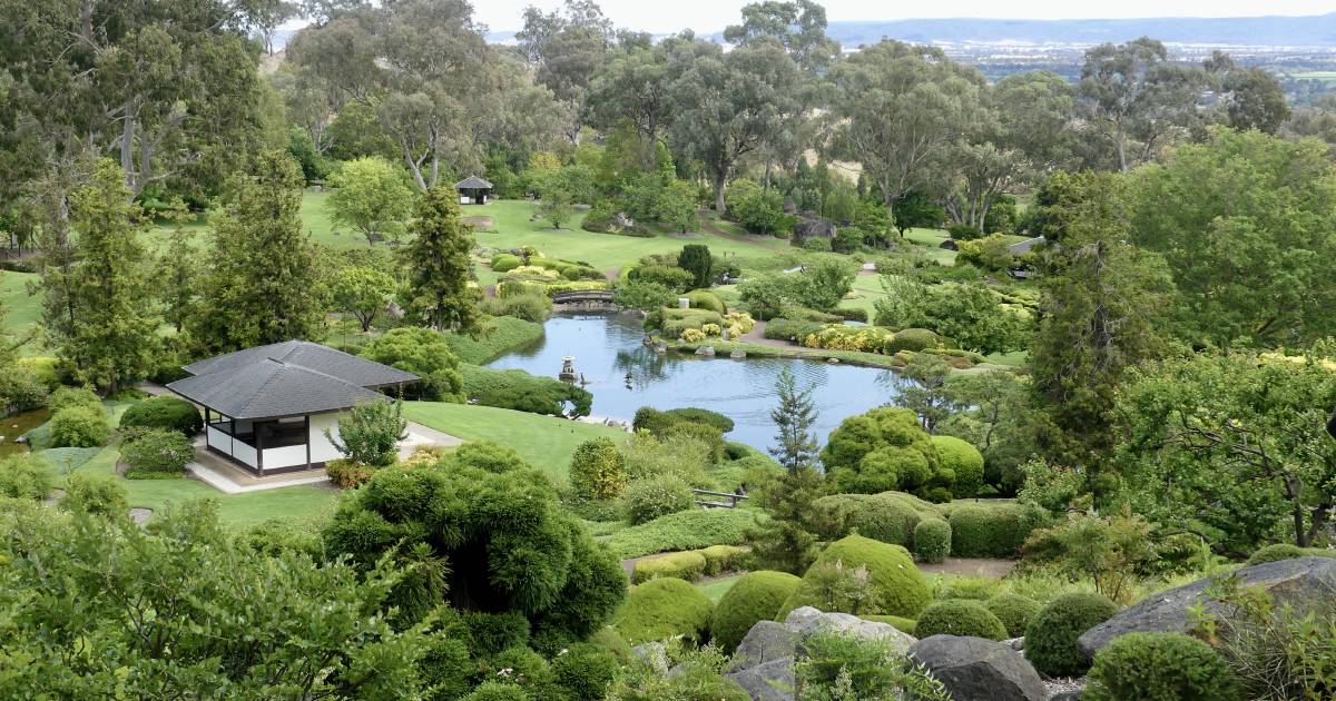 Contemplation in Cowra at the Japanese Gardens