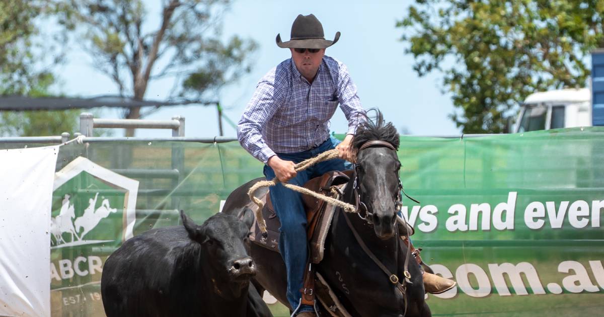 Outstanding campdrafting at North Star for ABCRA championships | Queensland Country Life