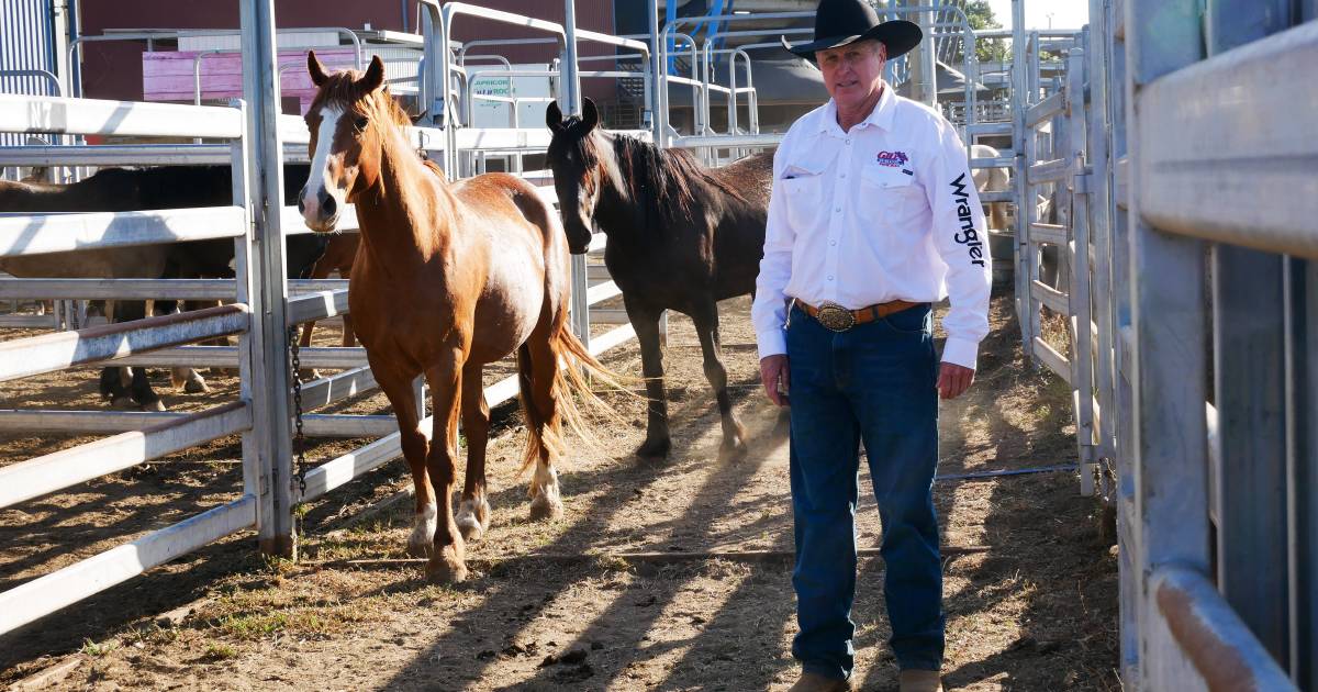 Eddie Gill ready to scale back rodeo circuit