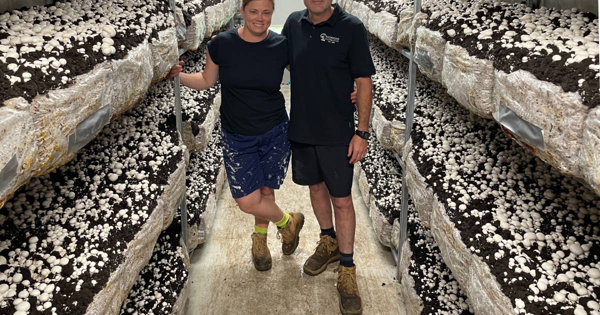 Out of the mud: Mushroom farmers build back better after devastating flood