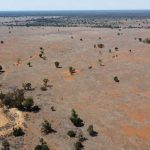 Dryland cotton planting yet to 'fire up'