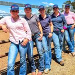 Coles expands carbon neutral program with more feedlots adopting methane reducing feed additive