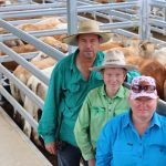 Smaller cattle offering spurs competition on AuctionsPlus | Queensland Country Life