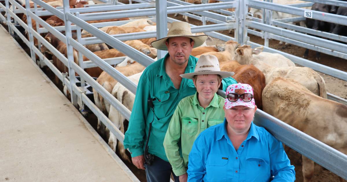 Optimists push up prices at Biggenden