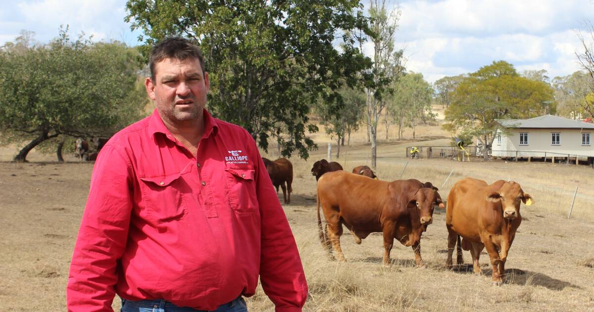 Renewables to be hosted by Will Wilson’s family properties at Calliope | Queensland Country Life