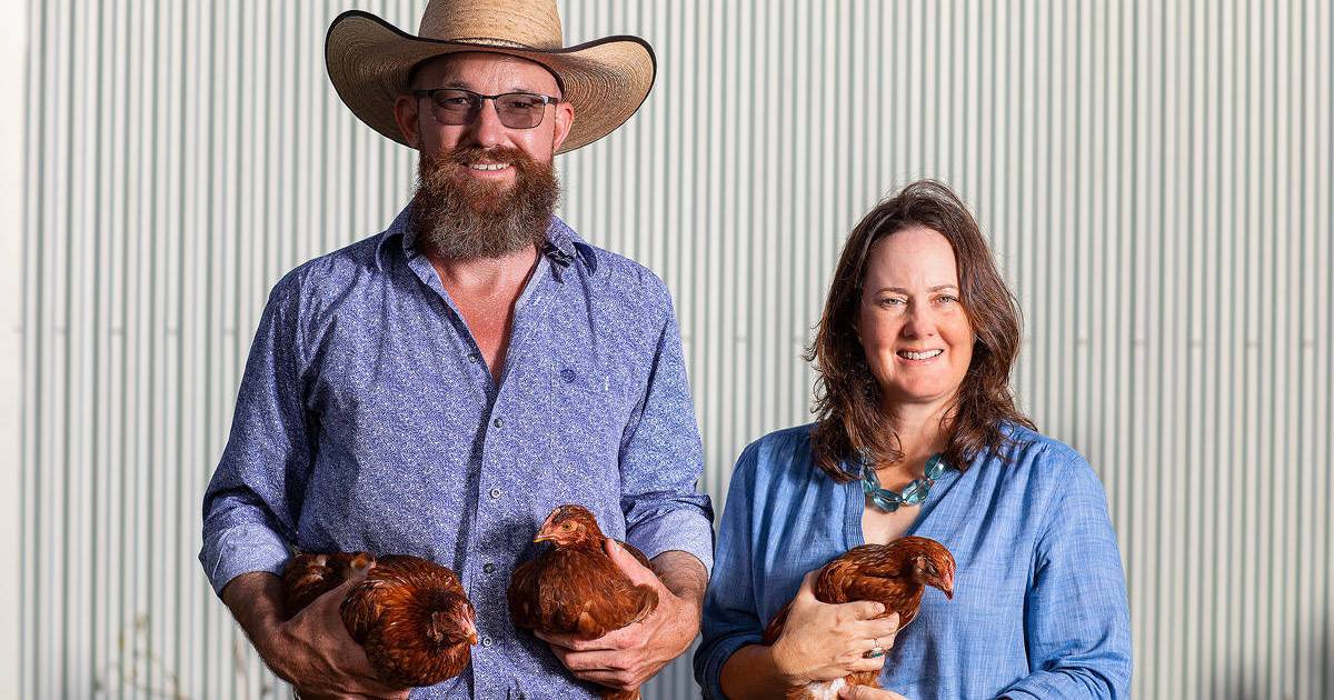 Demand for backyard chooks skyrockets in 2023