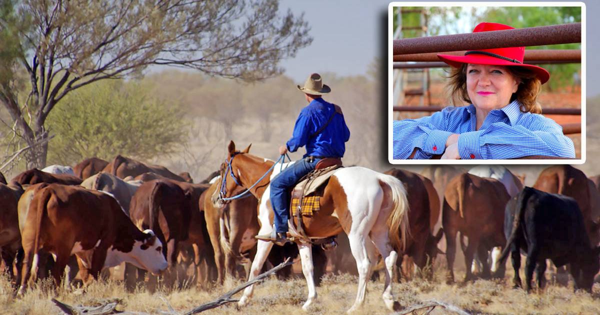 Gina Rinehart on the hunt for 'high quality' beef properties