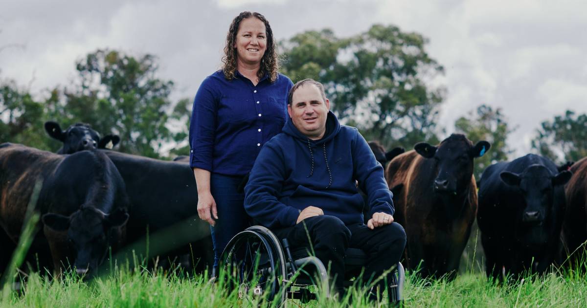 Cattle program pays dividends