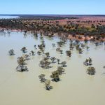 Gate closes on outback trekking business