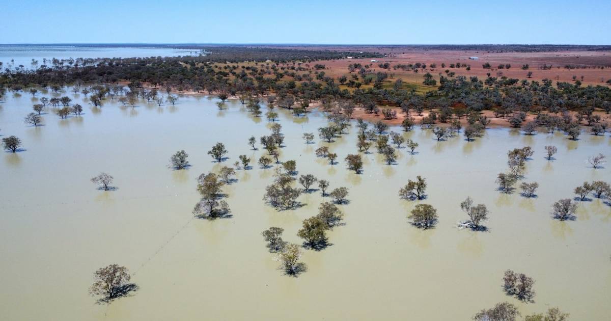 Volo Station delivers 4636 acres of lakebed farming | Video