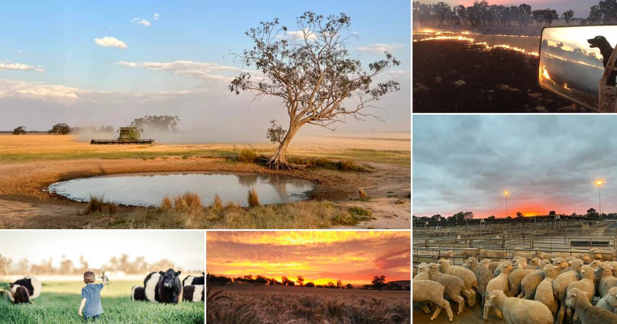 All the incredible photos sent in showcasing Aussie agriculture