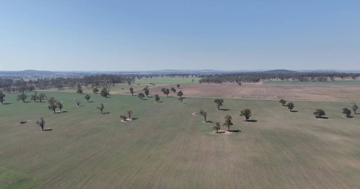 Premium cropping and grazing property heads to auction