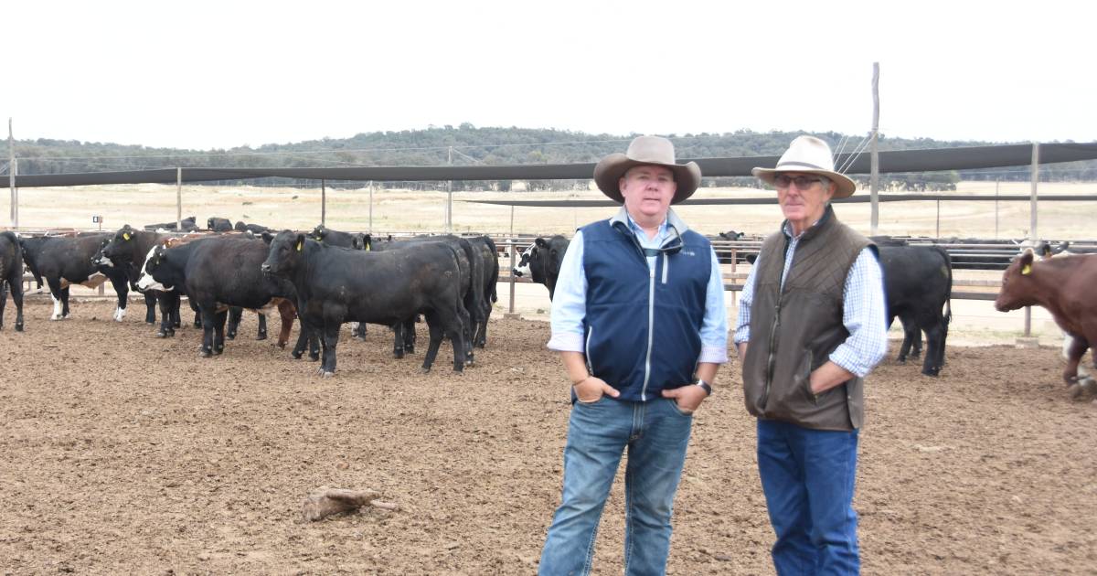 New faces enter 2024 Beef Spectacular feedback trail