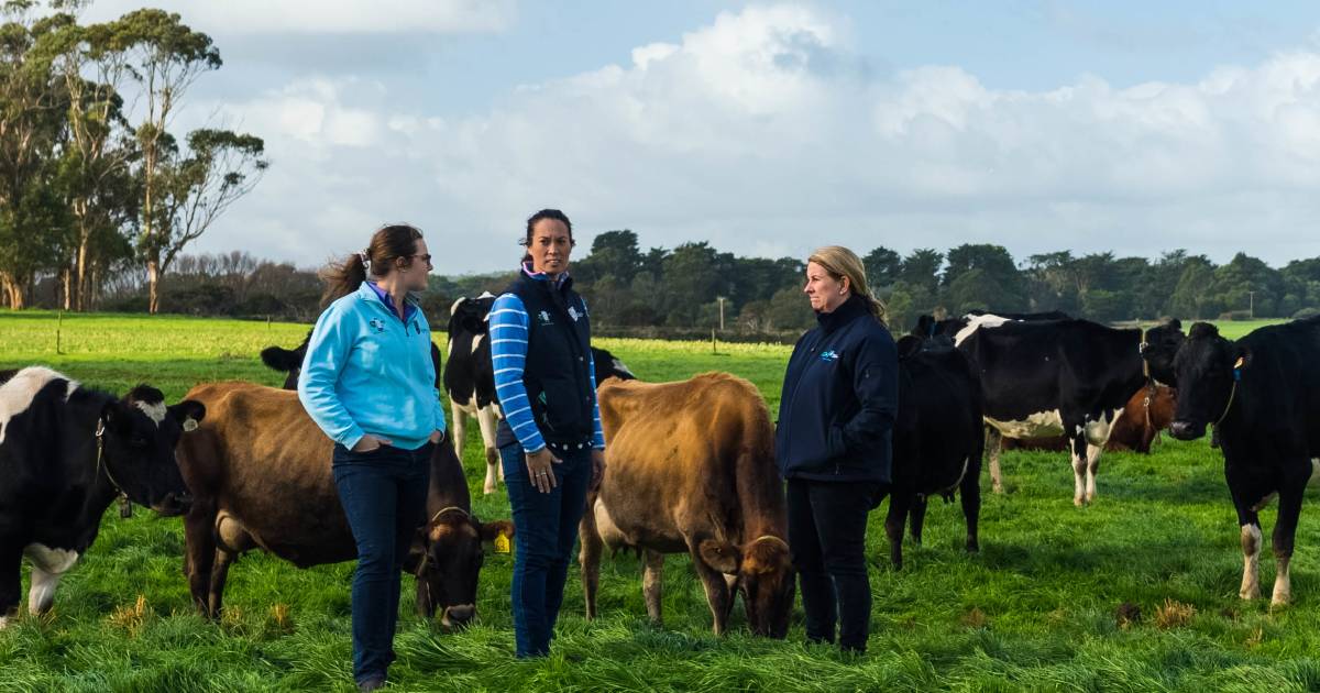 More ag teachers encouraging TAFE and uni courses can help solve worker crises | Queensland Country Life