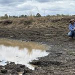 Warwick Gold Cup the goal of every campdrafter | Queensland Country Life