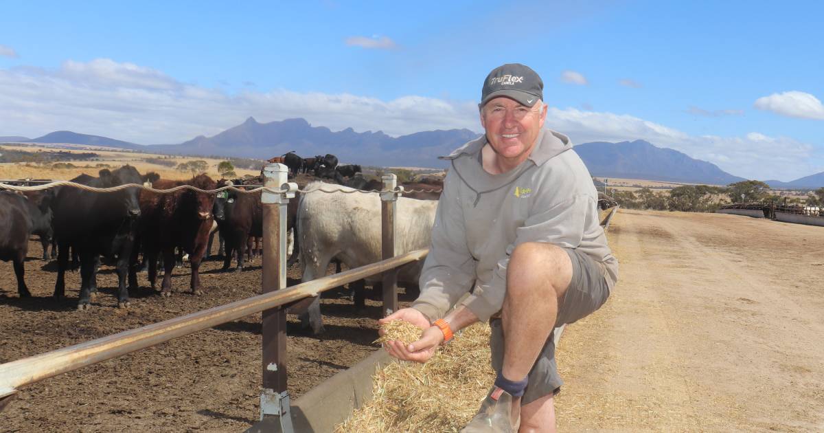 Beef business thriving | Farm Weekly