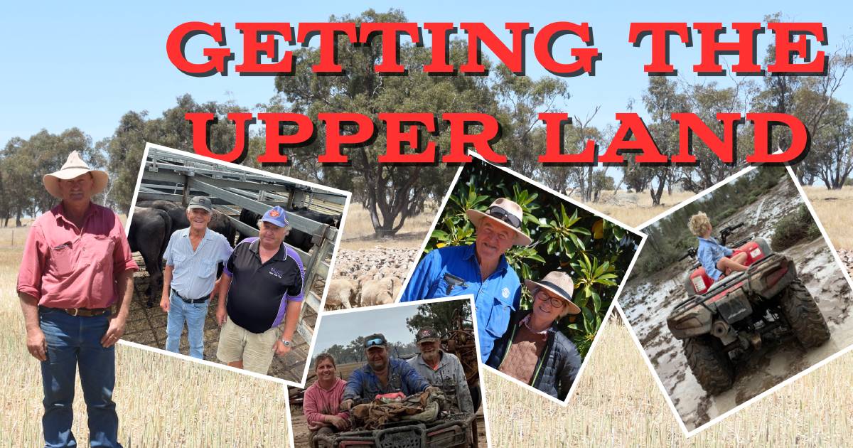 Baymore Station, worm management, feeder heifers sought after, hay production and rainfall; Getting the Upper Land episode 20 | The Land