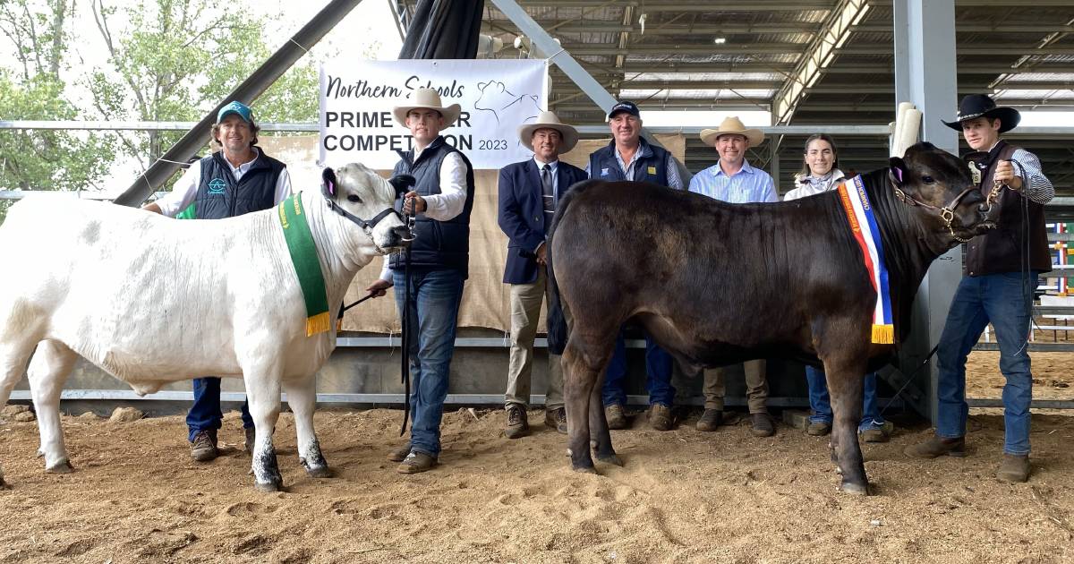 2023 Northern Schools Prime Steer Competition