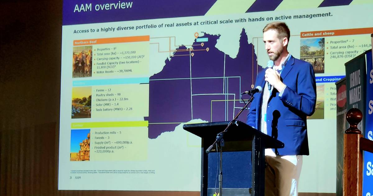 Succession toolbox tips shared at Young Beef Producers Forum | Queensland Country Life