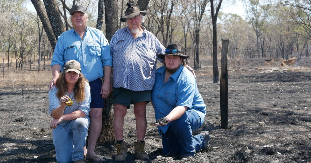 'We've never seen anything like it': inferno wipes out entire herd