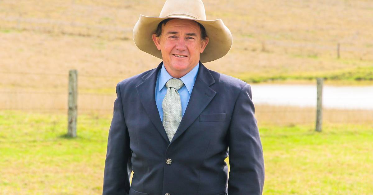 Burnett region cattle producers can reduce freight costs to Murgon saleyard | Queensland Country Life