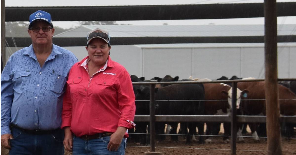 Tallangatta producers see value in feed trial