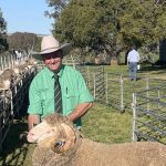 Steve and Claire Farmer, Mt Elsa, Canoona, have diversified their cattle operation into share farming | Queensland Country Life