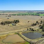 Canola at Boorowa hit by late frosts, dry finish