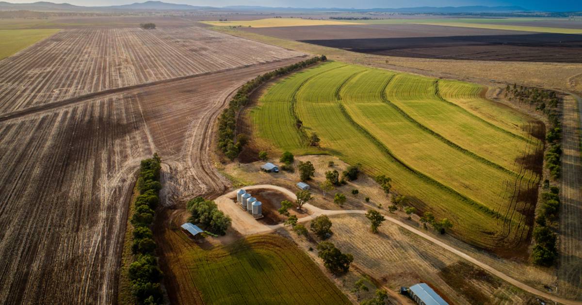 Garawah and Booligal offer Liverpool Plains reliability | Video