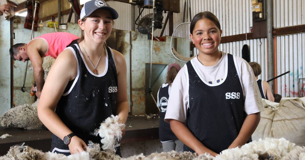 Shearing program clicks