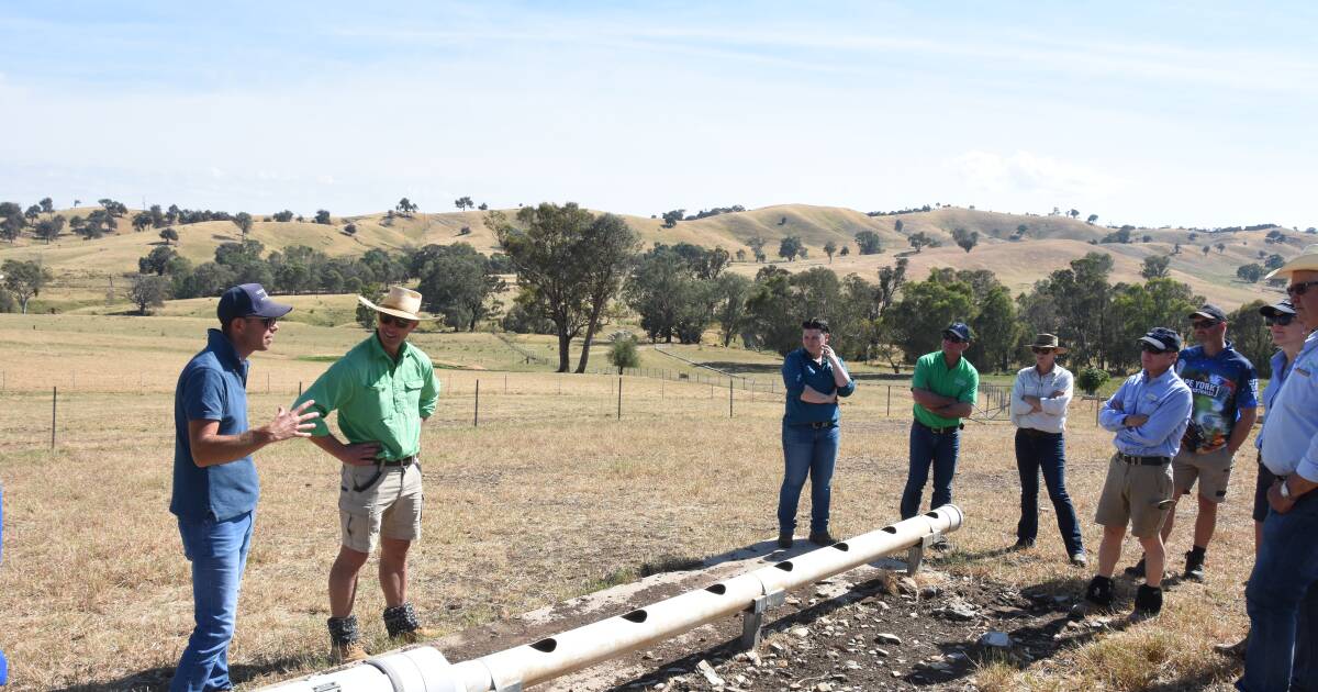 Containment feeding for a quicker turn around after drought