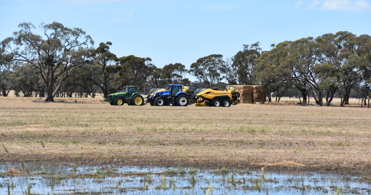 Quality concerns as further bad weather threatens winter crop | The Land