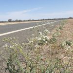 Tropical Cyclone Jasper set to intensify off Queensland