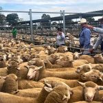 'It's got to stop': Calls for vigilance as crops hit by spray drift