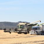 Independent NSW Agriculture Commissioner to chair pilot land use panel | The Land