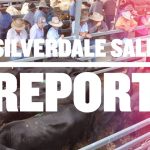 Elders Springing Heifer Sale tops $3500 at Boyanup saleyards | Farm Weekly