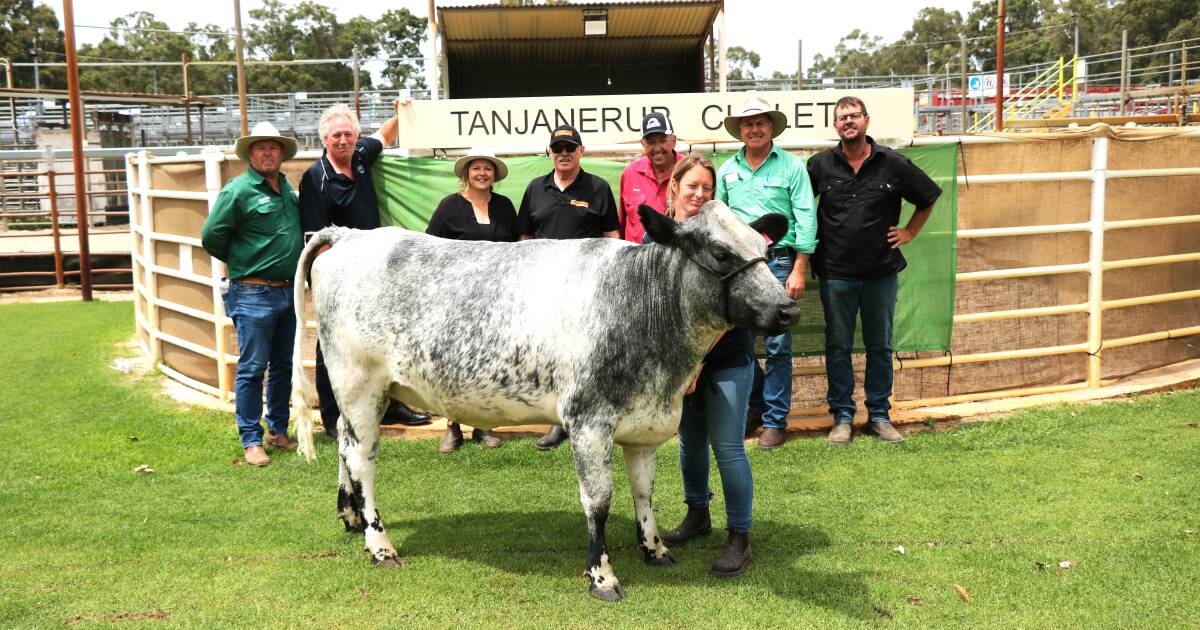 Clementine 15 raises $12,000 for Black Dog Ride at Boyanup | Farm Weekly