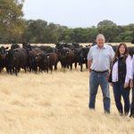 Ky Hamilton dominates PRCA bull riding world standings | North Queensland Register