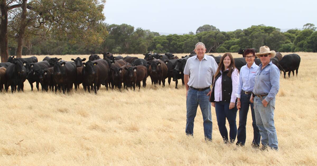 Gingin Glamours – Win 10 Angus Heifers | Farm Weekly | Farm Weekly