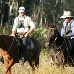 Grazing Intelligence project to predict stock and grazing outcomes