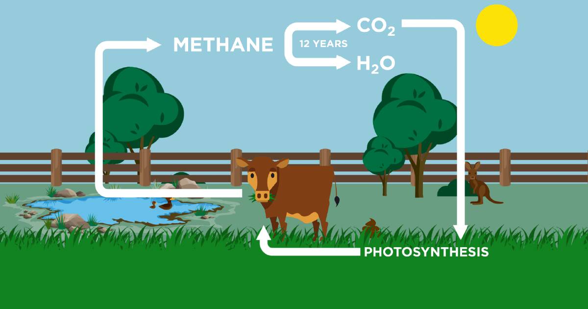 EXPLAINED: What the carbon market is, how it works and what you need to know