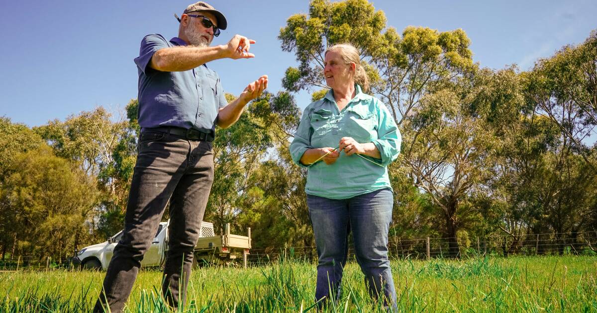 How to make carbon work for a livestock business