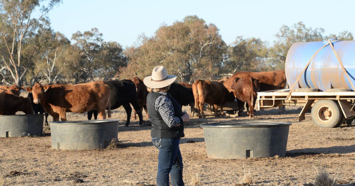 Drought Ready and Resilient Fund questions raised actual interest rates | The Land