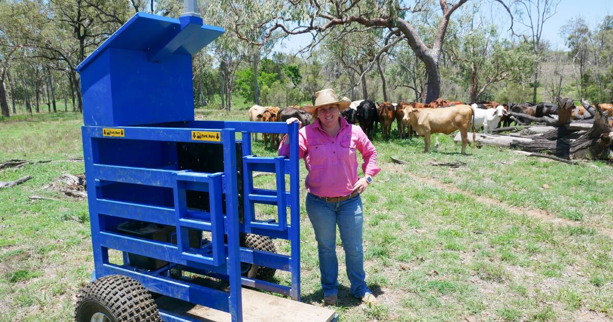 Traders tracking pasture improvement success with in-paddock daily weighing