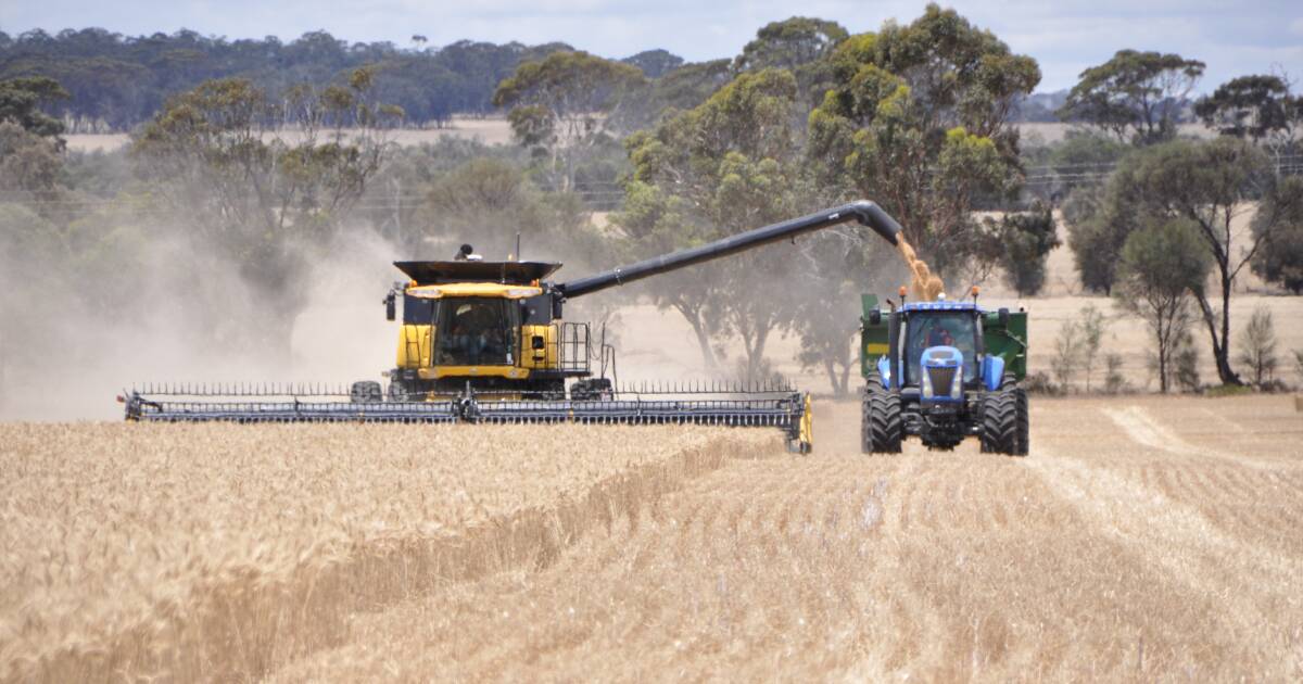 Timing all important for yield in challenging season